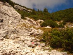 2013-10-08_Guffert (091).JPG